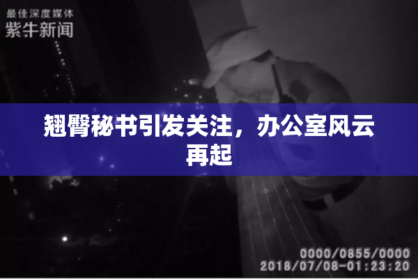 翘臀秘书引发关注，办公室风云再起