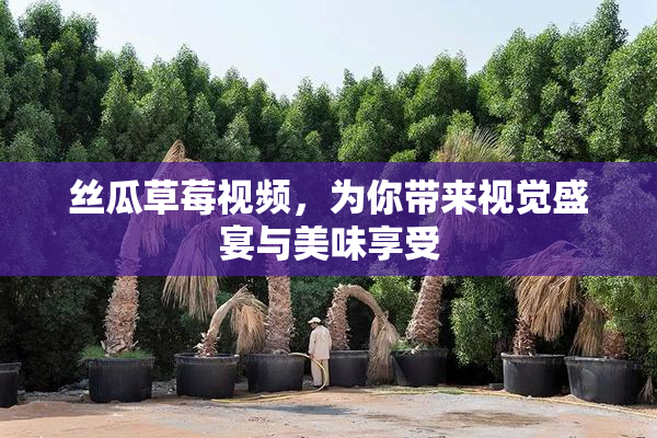 丝瓜草莓视频，为你带来视觉盛宴与美味享受