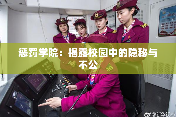 惩罚学院：揭露校园中的隐秘与不公