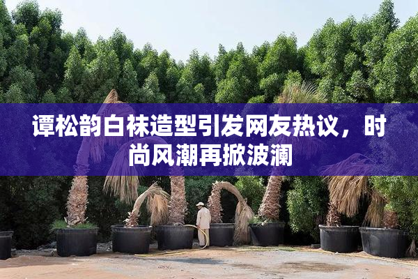 谭松韵白袜造型引发网友热议，时尚风潮再掀波澜