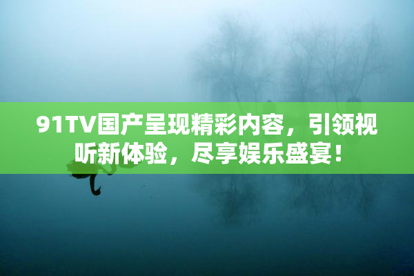 91TV国产呈现精彩内容，引领视听新体验，尽享娱乐盛宴！