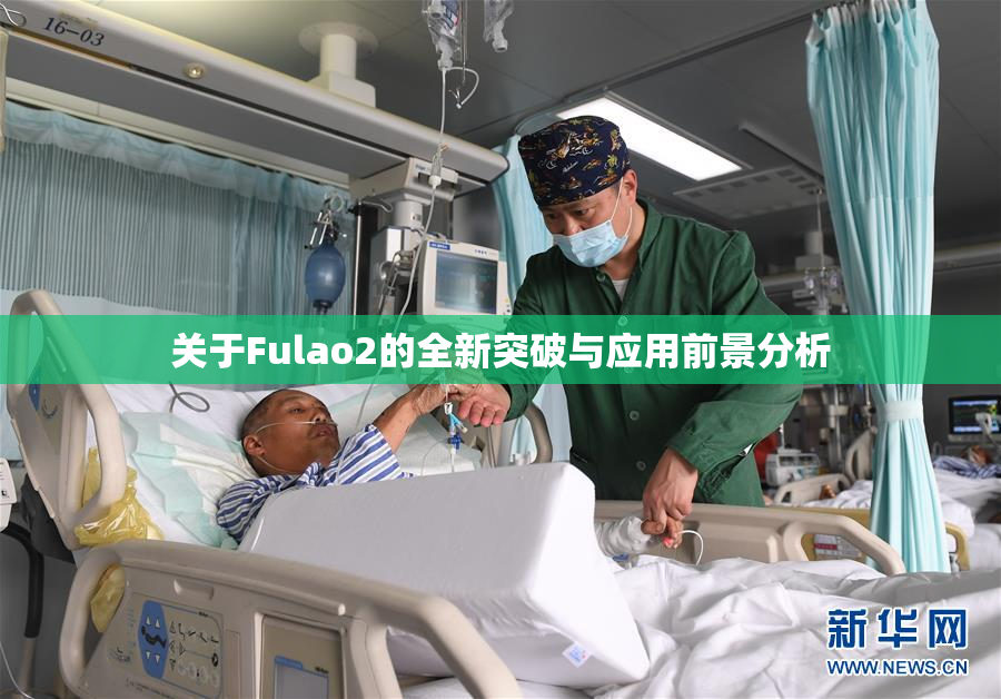 关于Fulao2的全新突破与应用前景分析