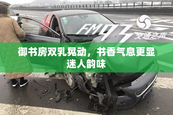 御书房双乳晃动，书香气息更显迷人韵味