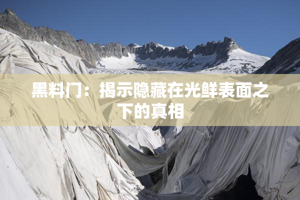 黑料门：揭示隐藏在光鲜表面之下的真相