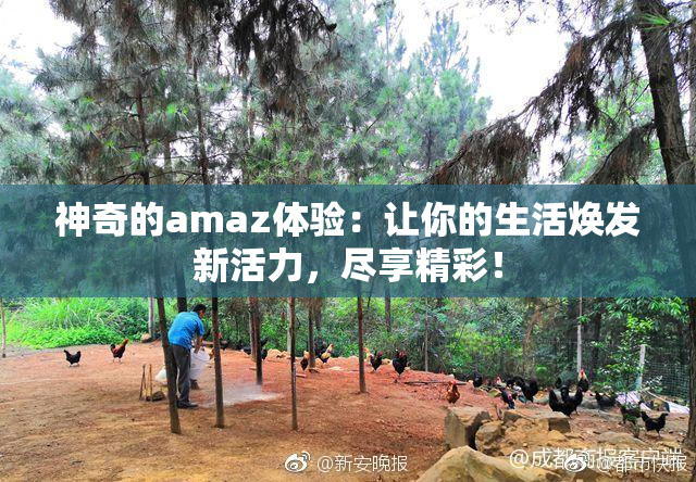 神奇的amaz体验：让你的生活焕发新活力，尽享精彩！