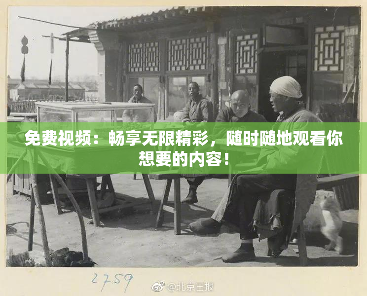 免费视频：畅享无限精彩，随时随地观看你想要的内容！