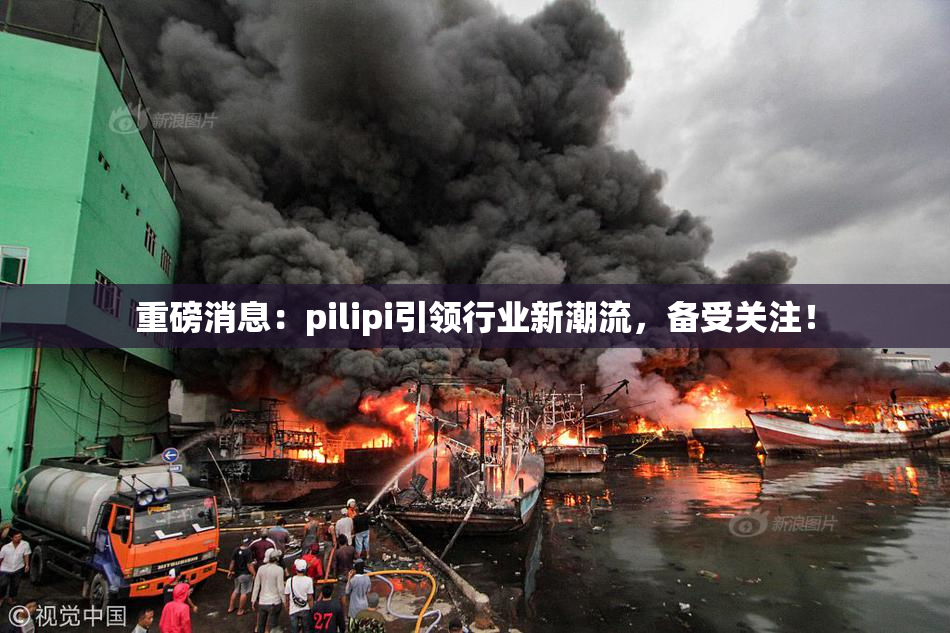 重磅消息：pilipi引领行业新潮流，备受关注！