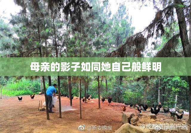 母亲的影子如同她自己般鲜明