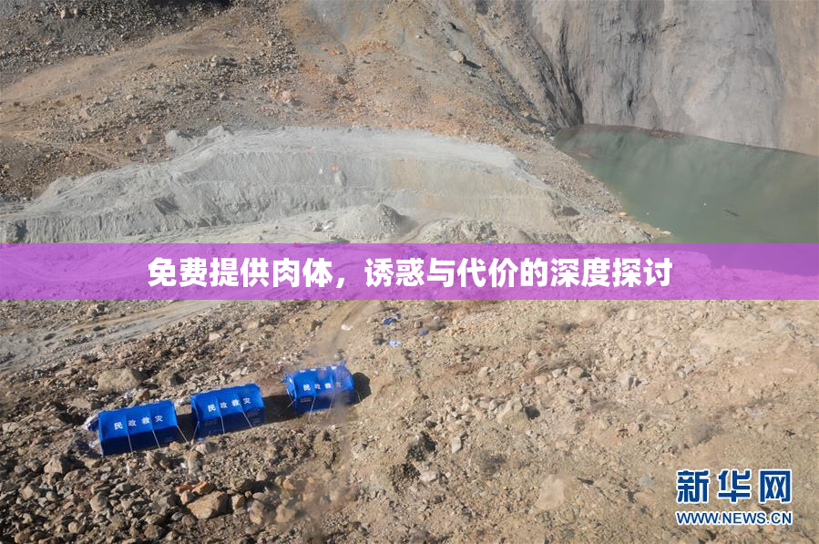 免费提供肉体，诱惑与代价的深度探讨