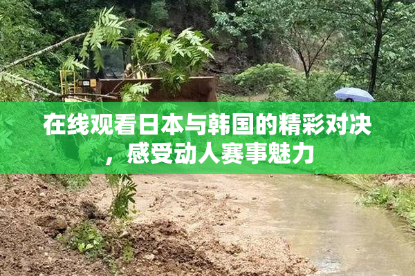 在线观看日本与韩国的精彩对决，感受动人赛事魅力