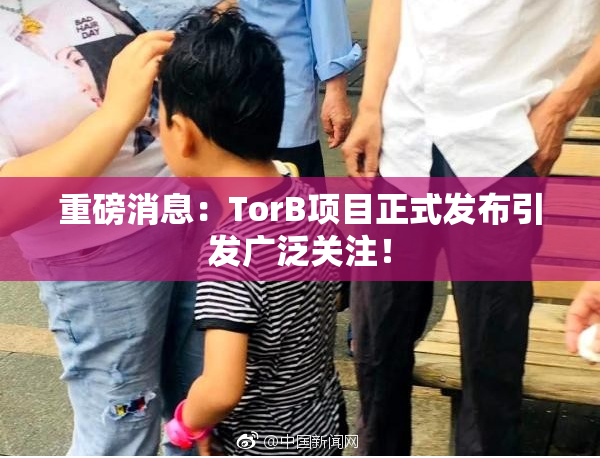 重磅消息：TorB项目正式发布引发广泛关注！