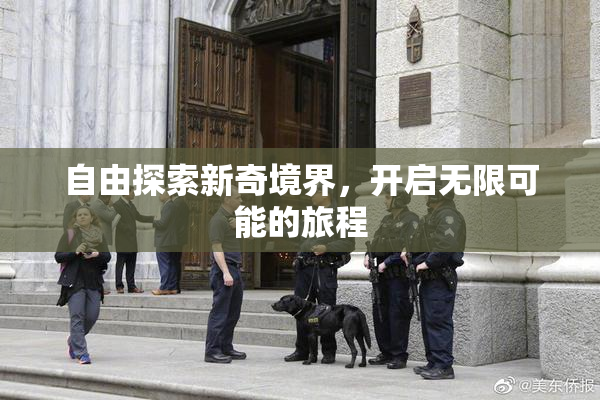 自由探索新奇境界，开启无限可能的旅程