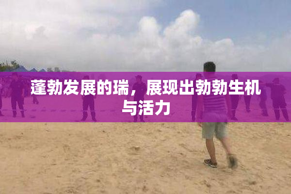 蓬勃发展的瑞，展现出勃勃生机与活力
