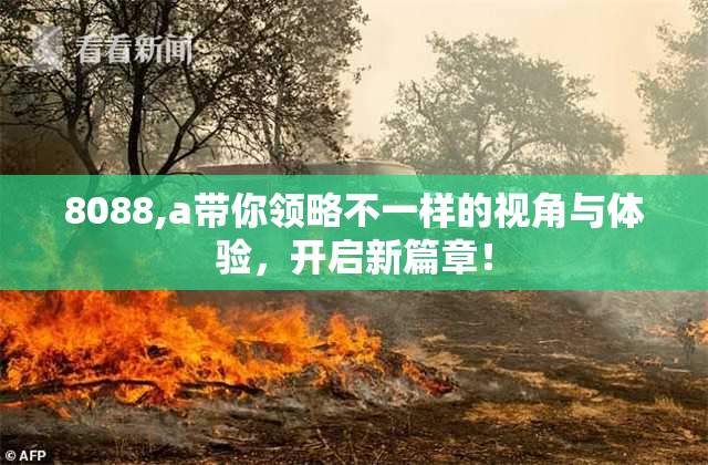 8088,a带你领略不一样的视角与体验，开启新篇章！