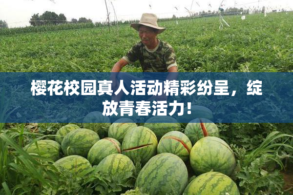 樱花校园真人活动精彩纷呈，绽放青春活力！