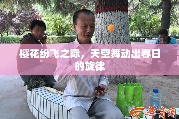 樱花纷飞之际，天空舞动出春日的旋律