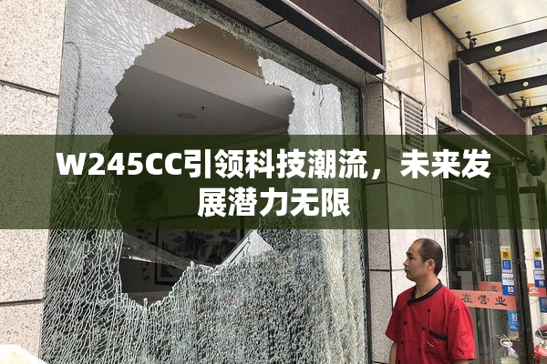 W245CC引领科技潮流，未来发展潜力无限