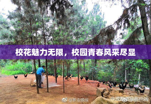 校花魅力无限，校园青春风采尽显