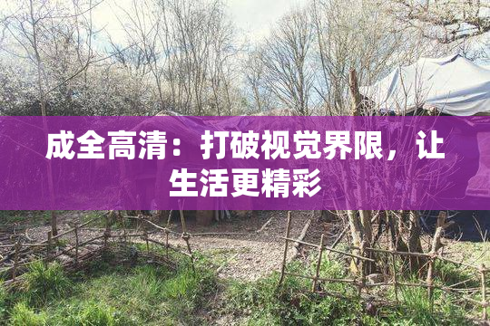 成全高清：打破视觉界限，让生活更精彩