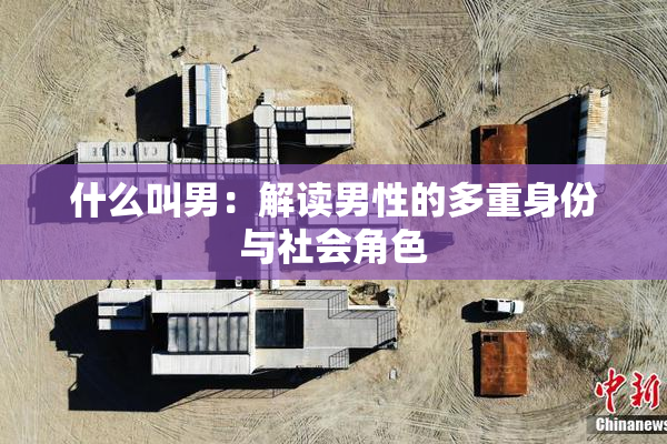 什么叫男：解读男性的多重身份与社会角色