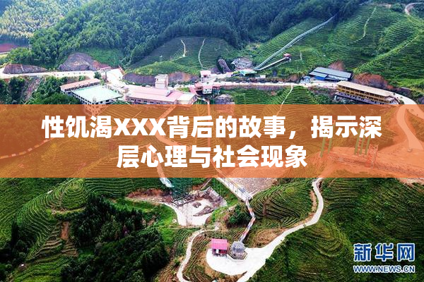 性饥渴XXX背后的故事，揭示深层心理与社会现象