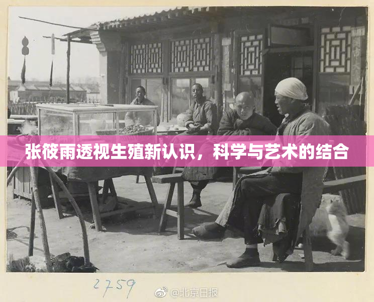 张筱雨透视生殖新认识，科学与艺术的结合