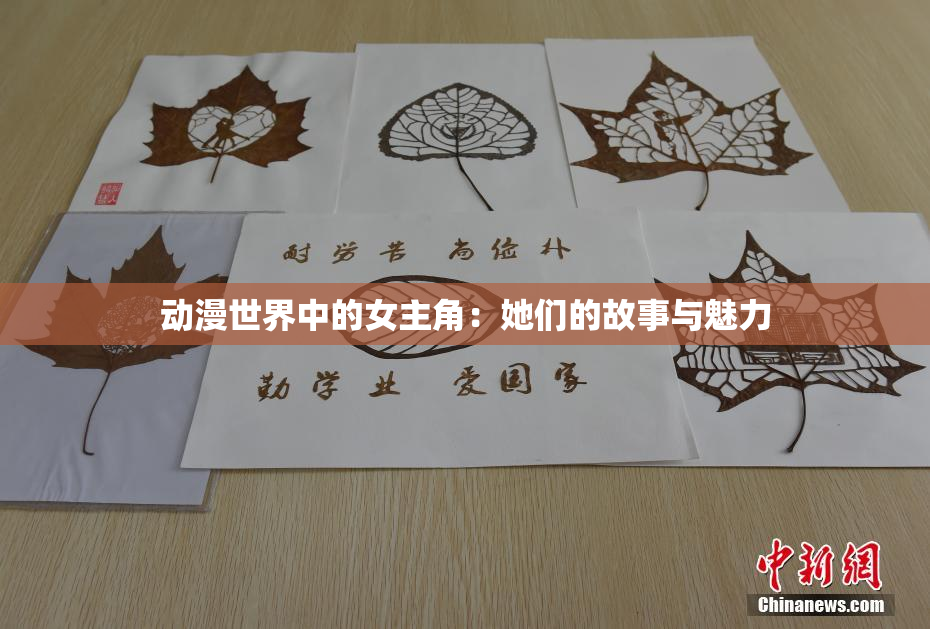 动漫世界中的女主角：她们的故事与魅力