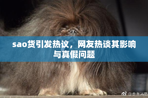 sao货引发热议，网友热谈其影响与真假问题
