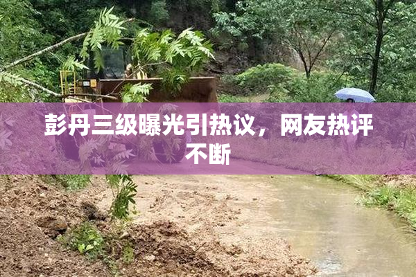 彭丹三级曝光引热议，网友热评不断