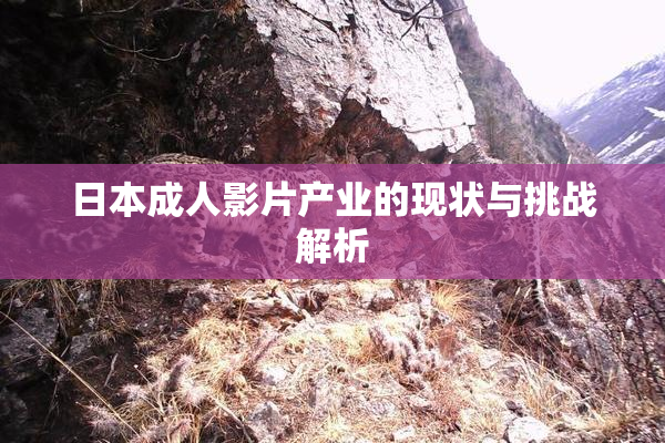 日本成人影片产业的现状与挑战解析