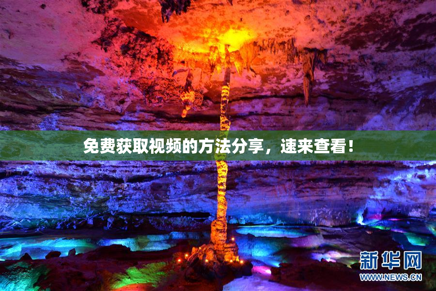 免费获取视频的方法分享，速来查看！