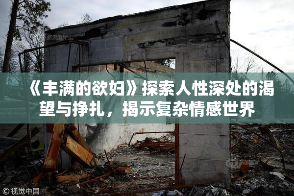 《丰满的欲妇》探索人性深处的渴望与挣扎，揭示复杂情感世界