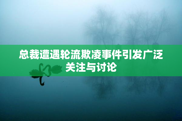 总裁遭遇轮流欺凌事件引发广泛关注与讨论