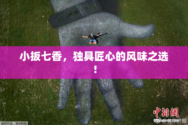 小扳七香，独具匠心的风味之选！