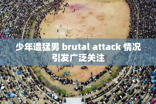 少年遭猛男 brutal attack 情况引发广泛关注