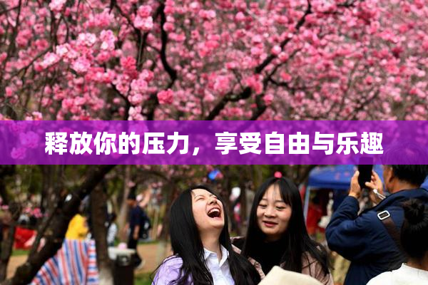释放你的压力，享受自由与乐趣