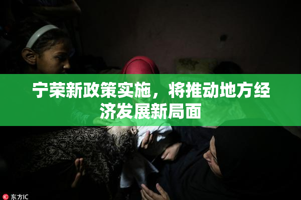 宁荣新政策实施，将推动地方经济发展新局面