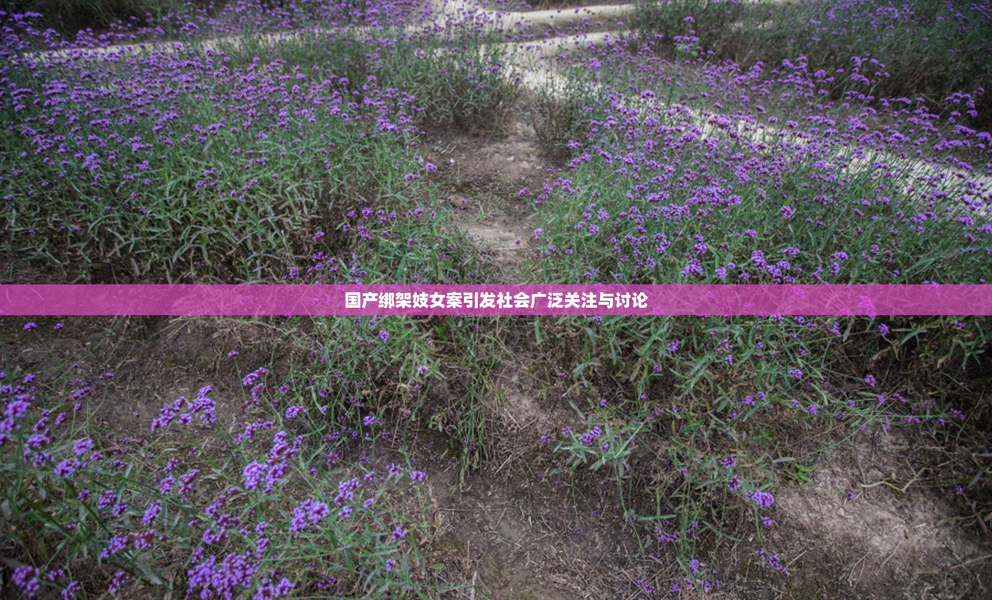国产绑架妓女案引发社会广泛关注与讨论