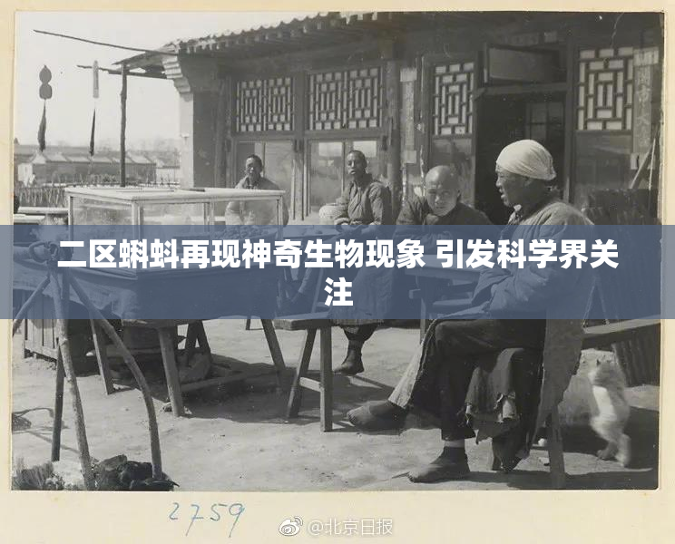 二区蝌蚪再现神奇生物现象 引发科学界关注