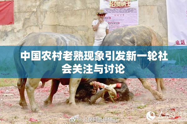 中国农村老熟现象引发新一轮社会关注与讨论
