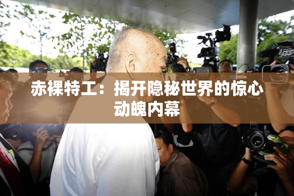 赤裸特工：揭开隐秘世界的惊心动魄内幕
