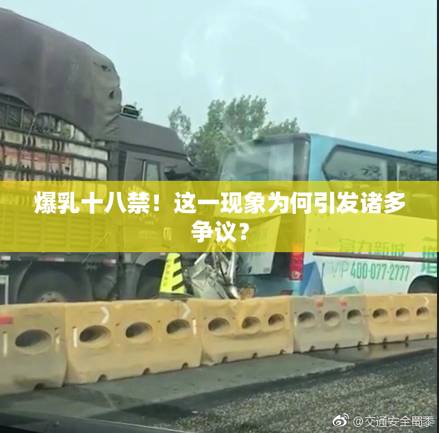 爆乳十八禁！这一现象为何引发诸多争议？