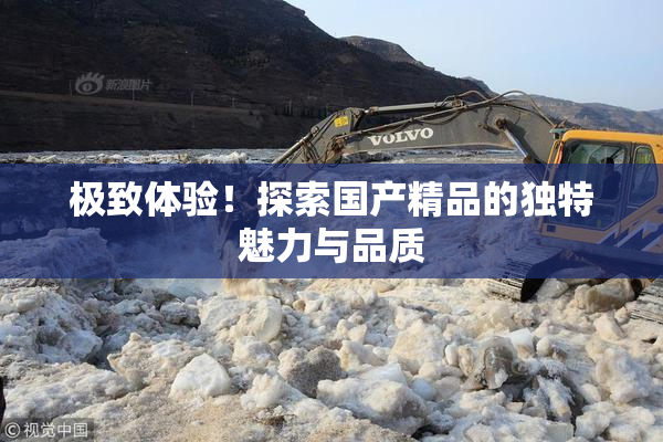 极致体验！探索国产精品的独特魅力与品质