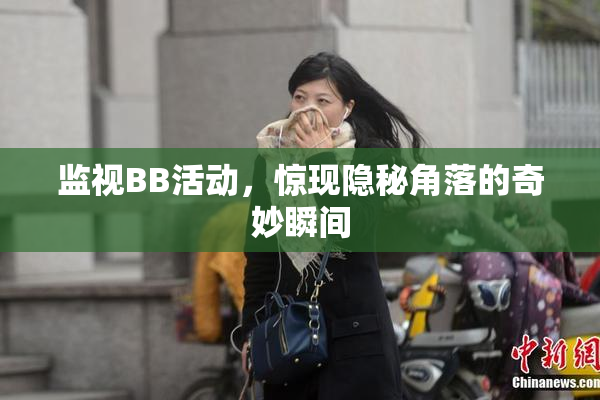 监视BB活动，惊现隐秘角落的奇妙瞬间