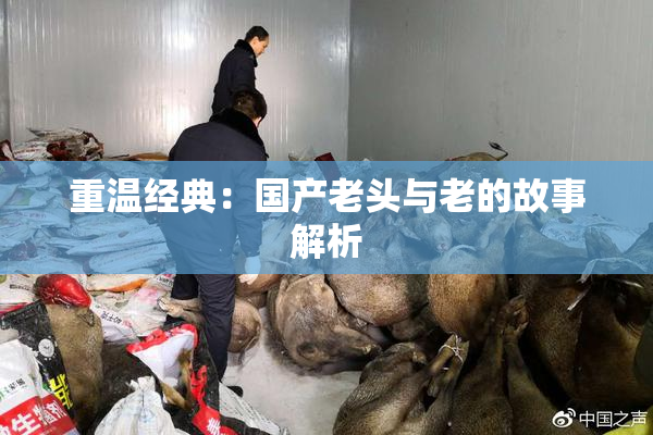 重温经典：国产老头与老的故事解析