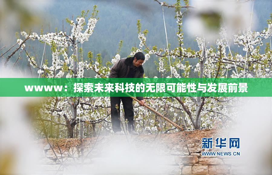 wwww：探索未来科技的无限可能性与发展前景