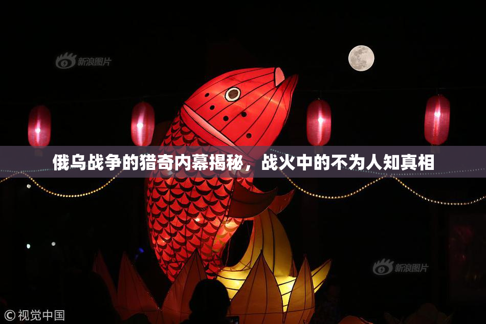俄乌战争的猎奇内幕揭秘，战火中的不为人知真相