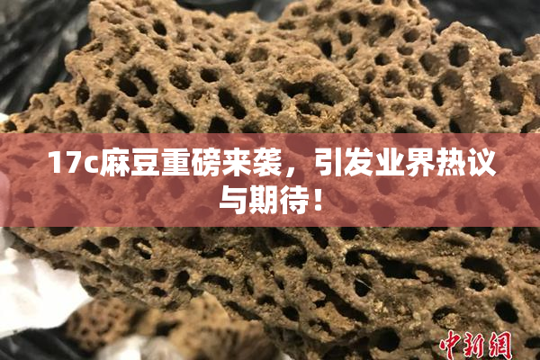 17c麻豆重磅来袭，引发业界热议与期待！