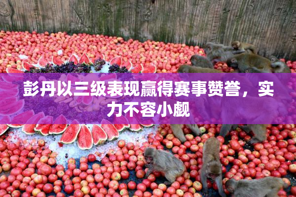 彭丹以三级表现赢得赛事赞誉，实力不容小觑