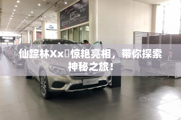 仙踪林Xx乂惊艳亮相，带你探索神秘之旅！
